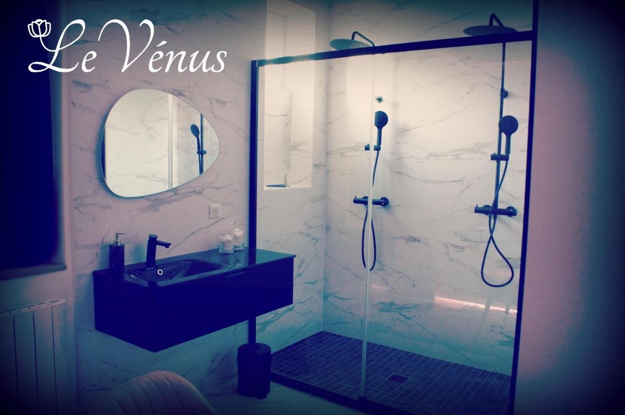 Le Vénus - Appartement SPA Privatif Balnéo Sauna Digione Esterno foto